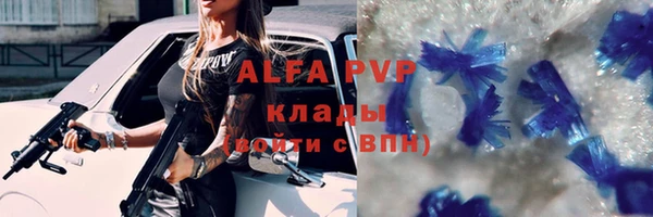 СК Ельня