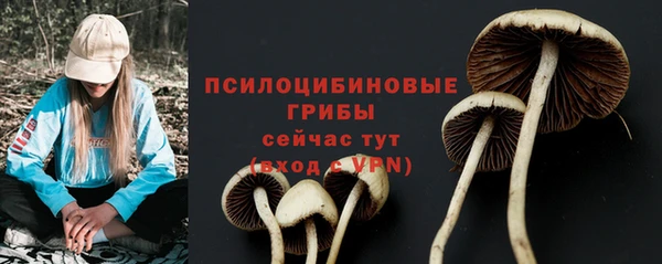 СК Заволжск