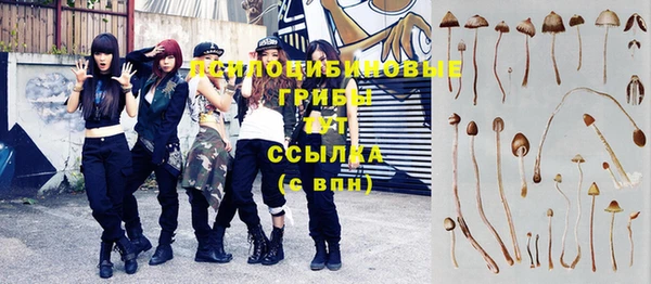 марки nbome Дмитровск
