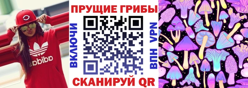 Купить закладки  Карачаевск  Галлюциногенные грибы GOLDEN TEACHER 