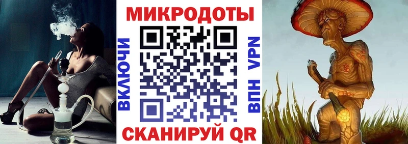 Галлюциногенные грибы Psilocybine cubensis Карачаевск